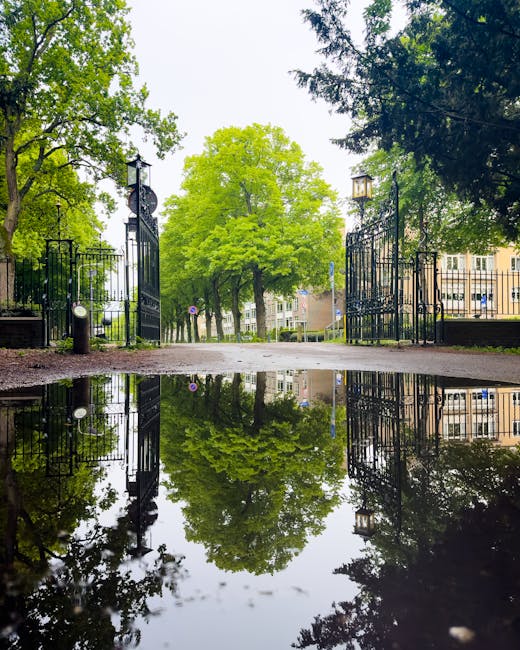 A view of an open wrought iron gate leading into a park or garden area, with lush green trees displaying fresh spring foliage in the background. The scene is captured during daylight hours, with natural sunlight filtering through the canopy, creating bright and shaded areas. The foreground features a large puddle on the paved path reflecting the trees, gate, and sky, highlighting recent rain. To the left of the gate, a small black post or bollard is visible, possibly marking the entrance. On either side of the gate, tall black lamp posts with lantern-style fixtures stand, contributing to the decorative and functional fencing. In the background, a low-rise residential or institutional building with light-colored walls and multiple windows can be seen, partially obscured by the leafy branches. The environment appears calm and well-maintained, with the scene illustrating the natural setting typical of a peacefully accessible outdoor space, suitable for private waste handling or local community use. Waste Disposal Holland Park offers rubbish removal services aligned with the convenience of on-site clearance and alternative waste collection options, as reflected in the serene park setting.