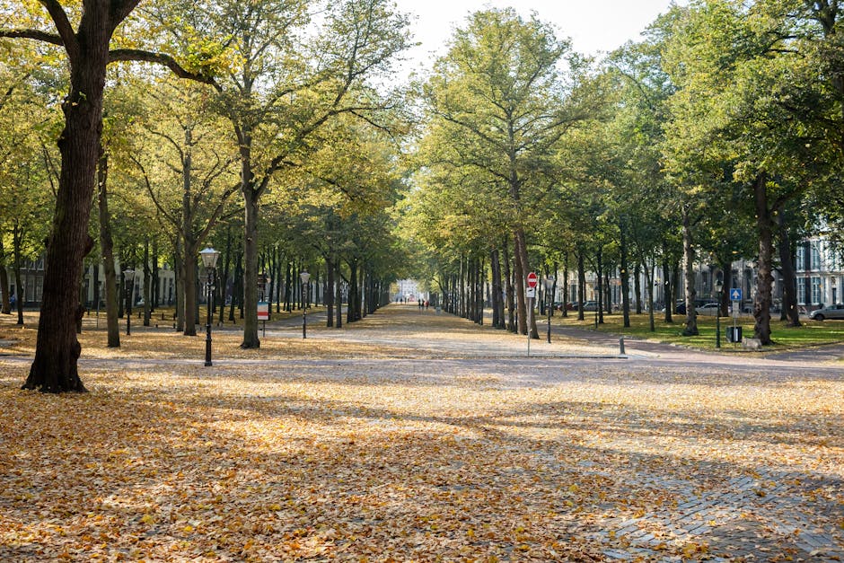 A broad urban pathway lined with mature deciduous trees on both sides, their branches extending overhead to create a canopy of green and yellow foliage. The ground is covered with a layer of fallen leaves, giving a textured appearance of various shades of yellow, brown, and orange. On the left side, a vintage-style lamppost is visible among the trees, providing ambient lighting, while on the right, a street sign indicating restricted entry is seen near the edge of the pavement. The pathway appears to be paved with an even surface, and the scene is bathed in soft natural daylight, suggesting a clear, sunny day in early autumn. In the distance, the pathway converges, with a few faint figures walking or cycling, and residential or commercial buildings can be partially seen through the trees, indicating a quiet, well-maintained city area suited to pedestrian and private disposal activities. The setting exemplifies an organized public space that may facilitate private waste collection or street cleaning processes in the vicinity.